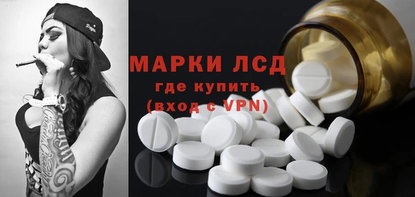 сатива Абинск