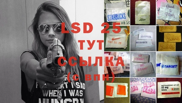 сатива Абинск