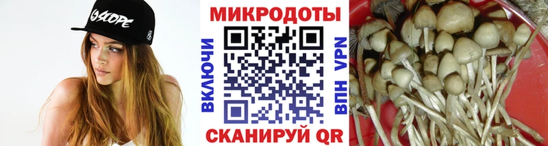 Псилоцибиновые грибы мухоморы  кракен онион  Старый Крым 